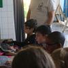 IMG 6657